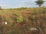 Low budget investment in