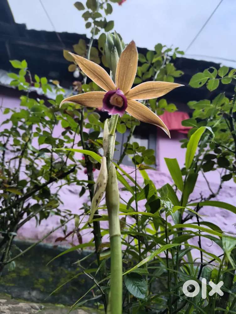 എനിക്ക് ഒരു ജോലി വേണം