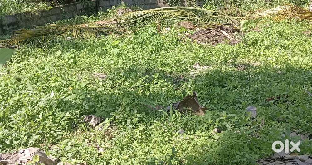 20 സെന്റ് കലക്കോട് നിയർ PNP jn, 3 km to paravur,