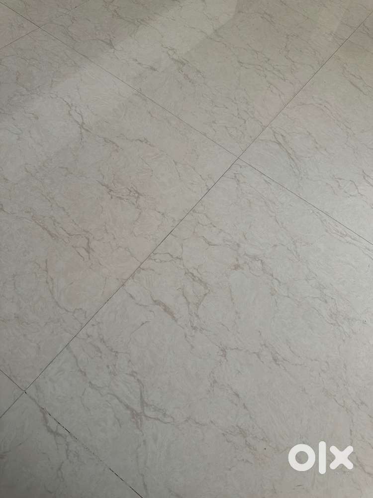 Chair side dental assistant