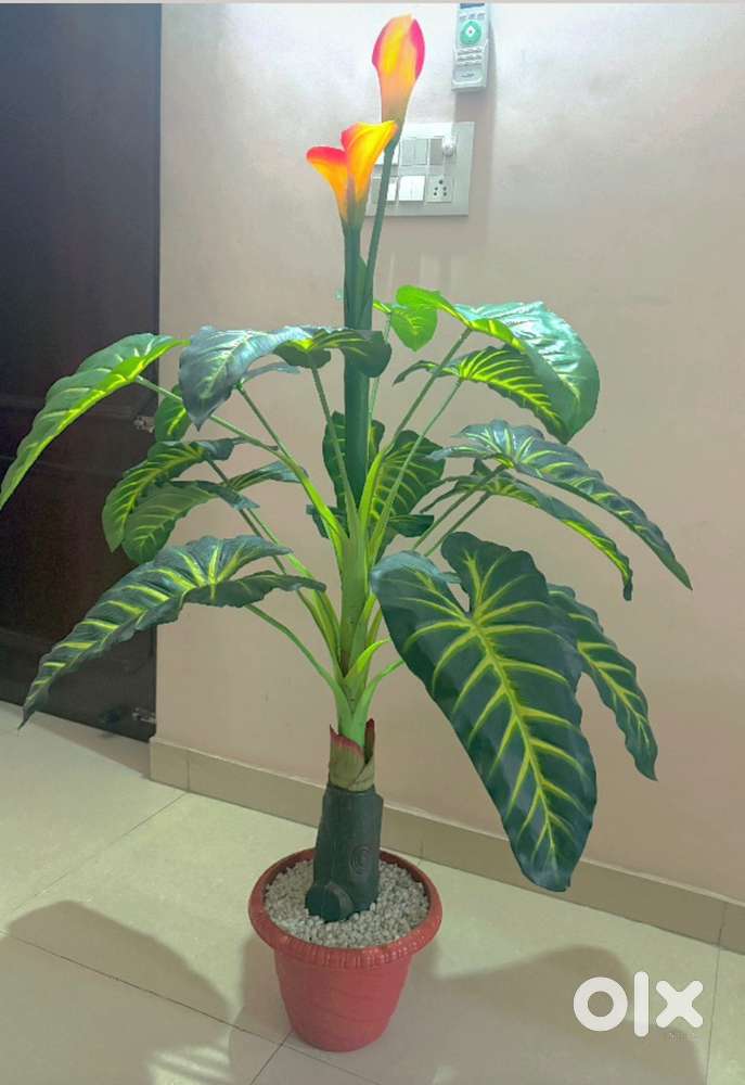 Flower decorate