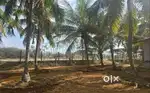 1.5 Acres for sale