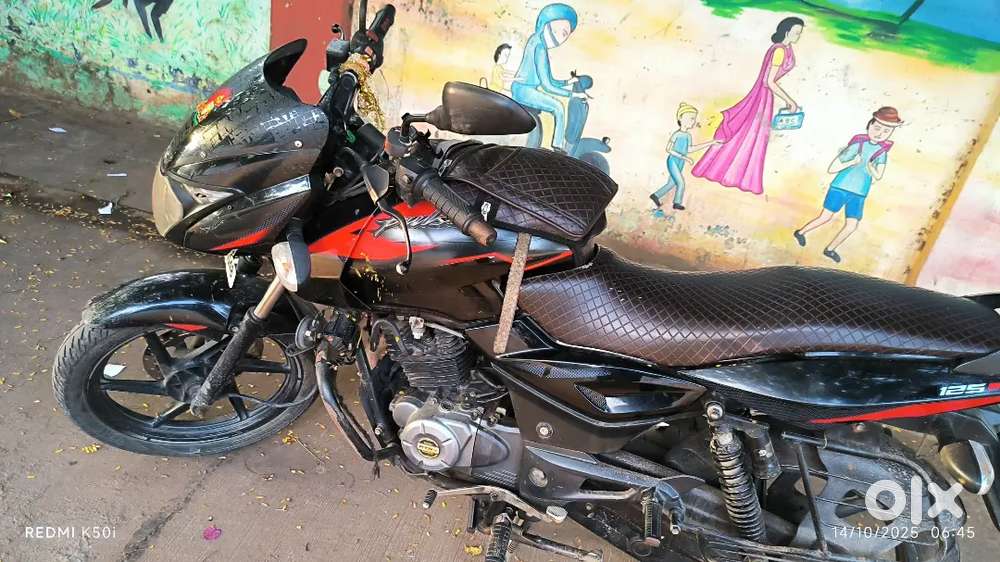 Pulsar bike full condition original panels stickering 2023 bike model