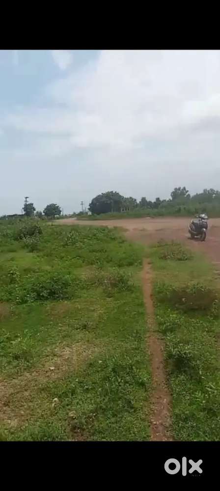 Big Investment plot project ,Malipada