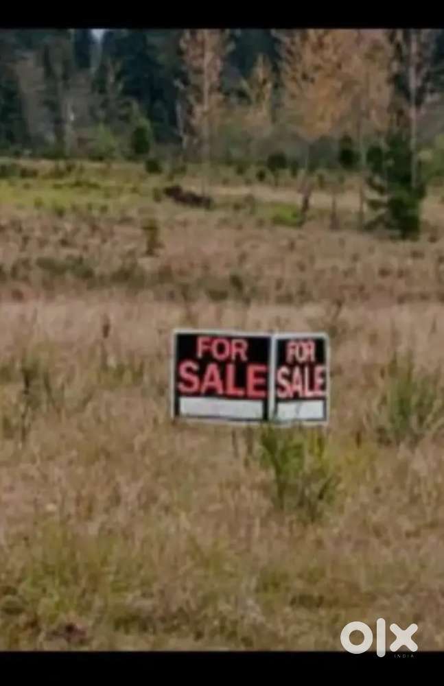 Sight for sales