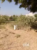 Corner plots low price