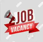 DEVELOPMENT MANAGER
