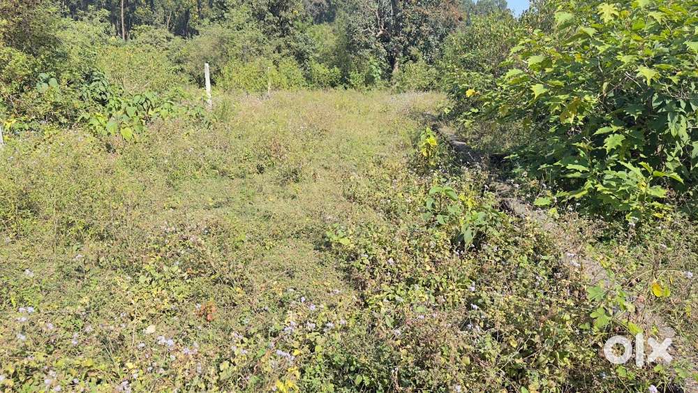 Plot for sale Near Chakrata Highway