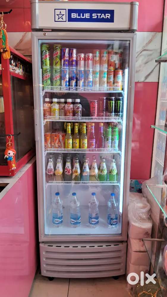 Blue star large fridge