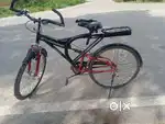 3 year old