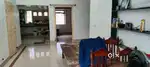 1 BHK Flat on rent  in shashtrinagar