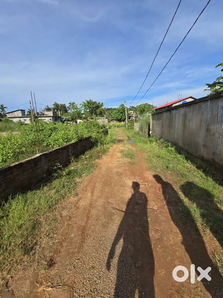 Miyadi land for sale in Jalukbari near Tetelia highschool