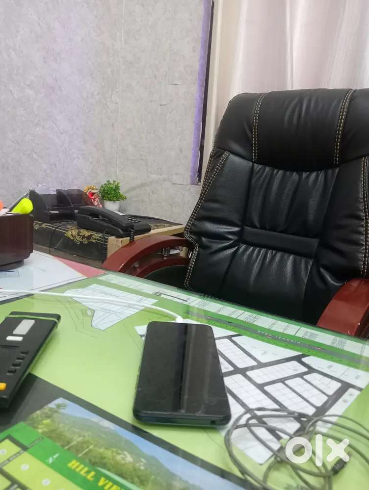 Business development executive