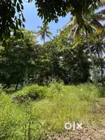 35 Cent Highway Plot for Sale – Kannadikkadu, Kochi
