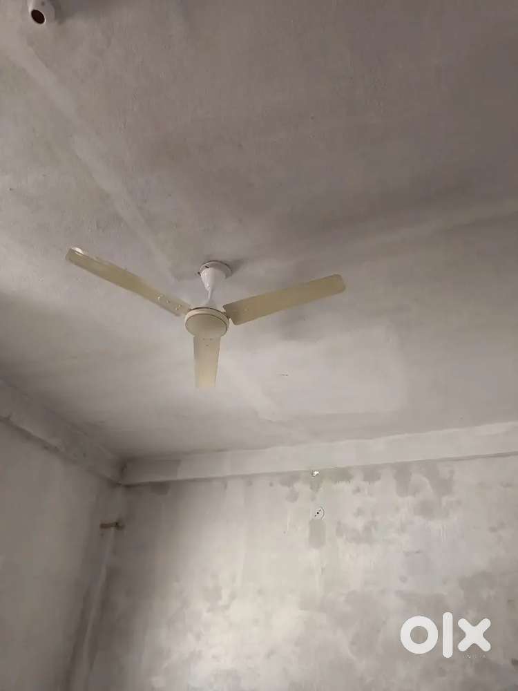 Needed room partner urgently