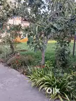 House on sale