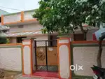 Independent house with plot area 250 sqyards