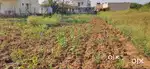 26 Cent Land for Rent Near Thudiyalur
