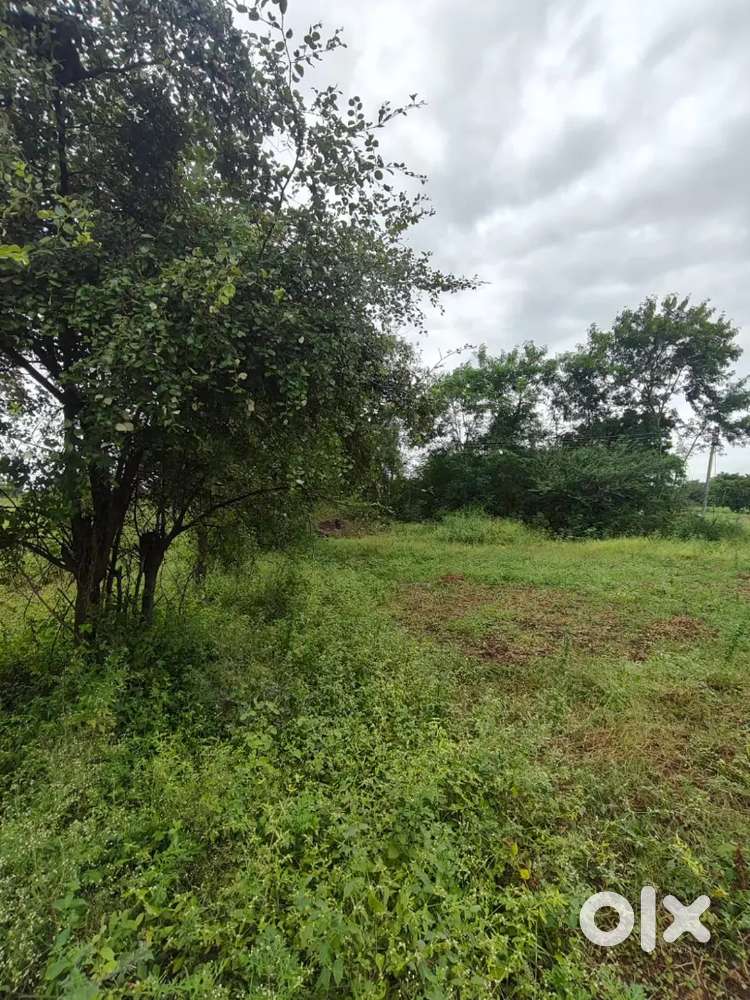 5 एकर 12 गुंठा विकणे आहे