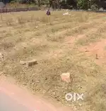 Semi commercial vaccant land for Rent