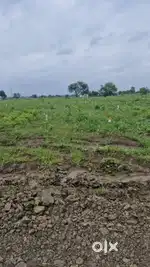 Farmland Kheti Amravati Highway