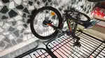 Bicycle - Phoenix