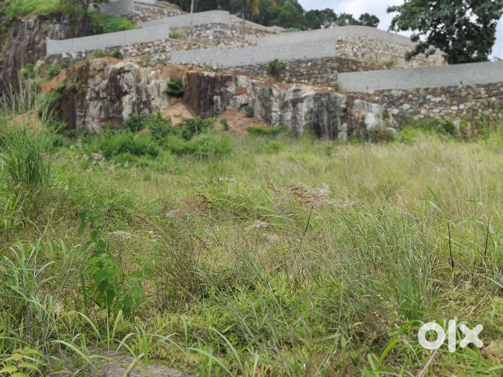 Palayam 46 Cent Commercial Land available 60 lakh per Cent (fixed)