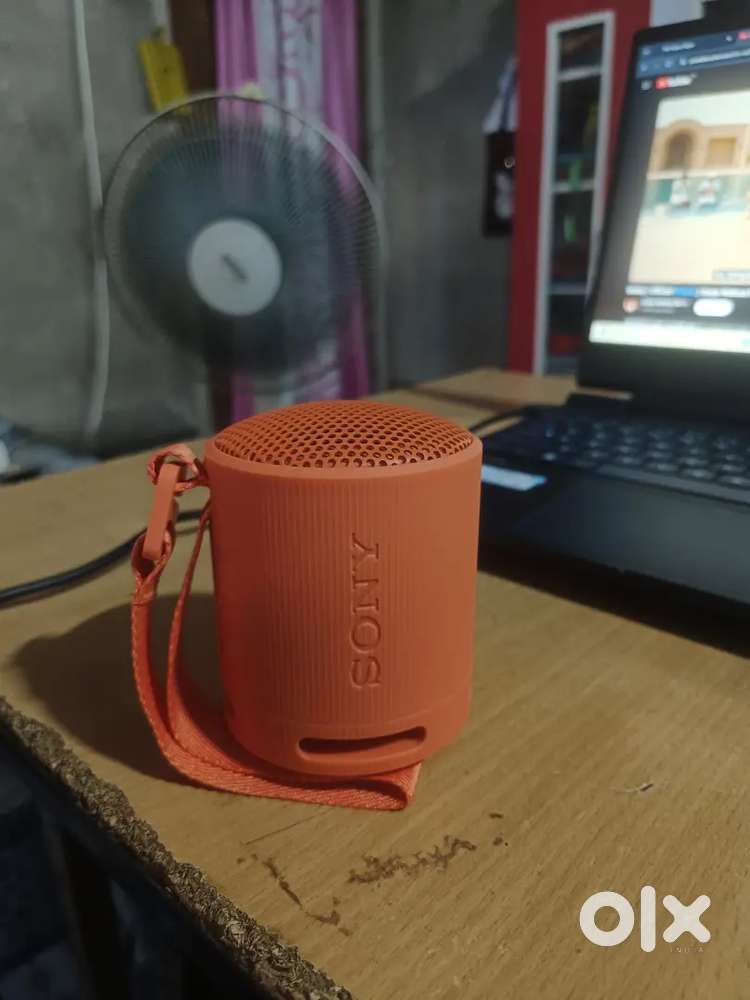 Sony srs xb100