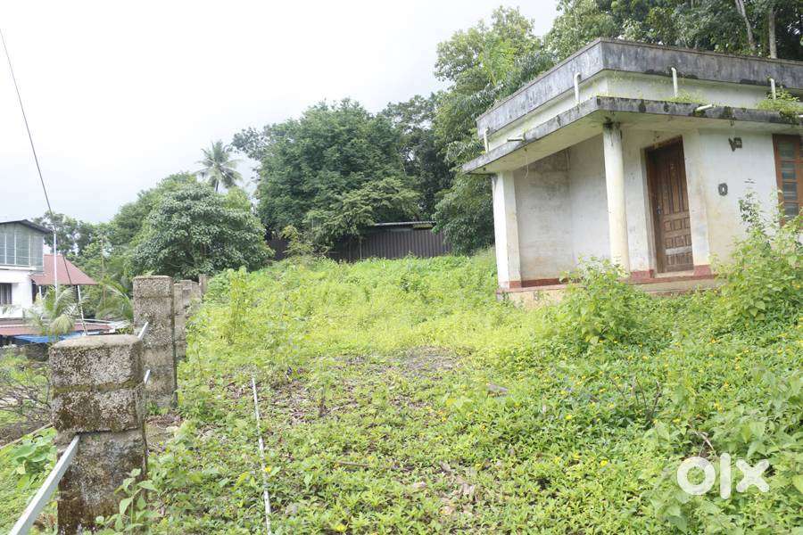 House plot 24 cents 2 nd plot of old MC road 4.5 lakh/cent