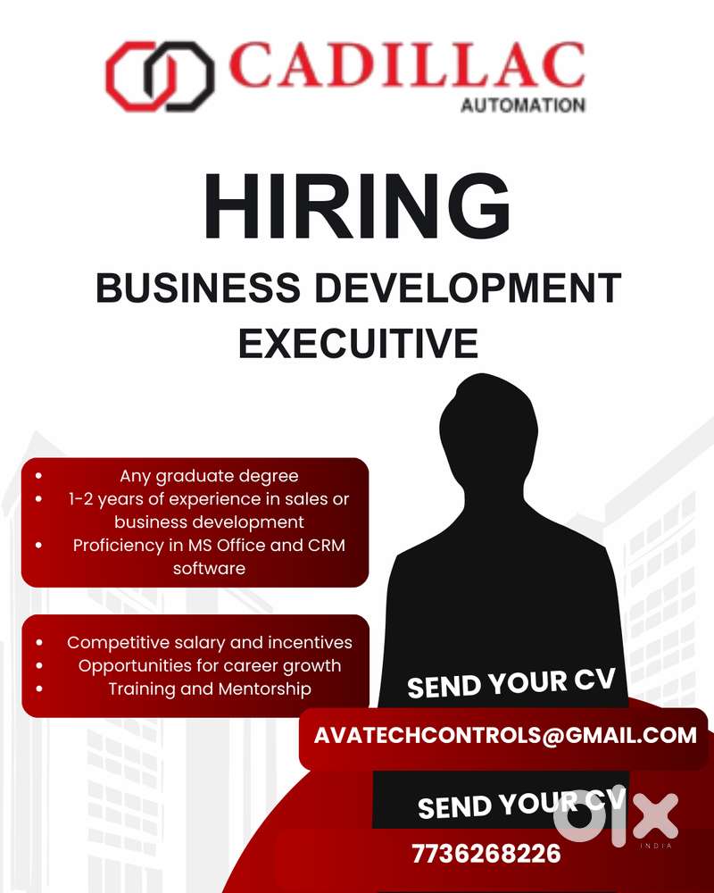 Business Development Executive