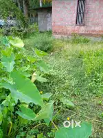 house and Plot
