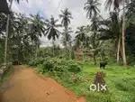 Land 30 Cent ( Thamarassery Poonoor Neroth ) Car Exchange Available DM