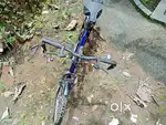 Cycle good