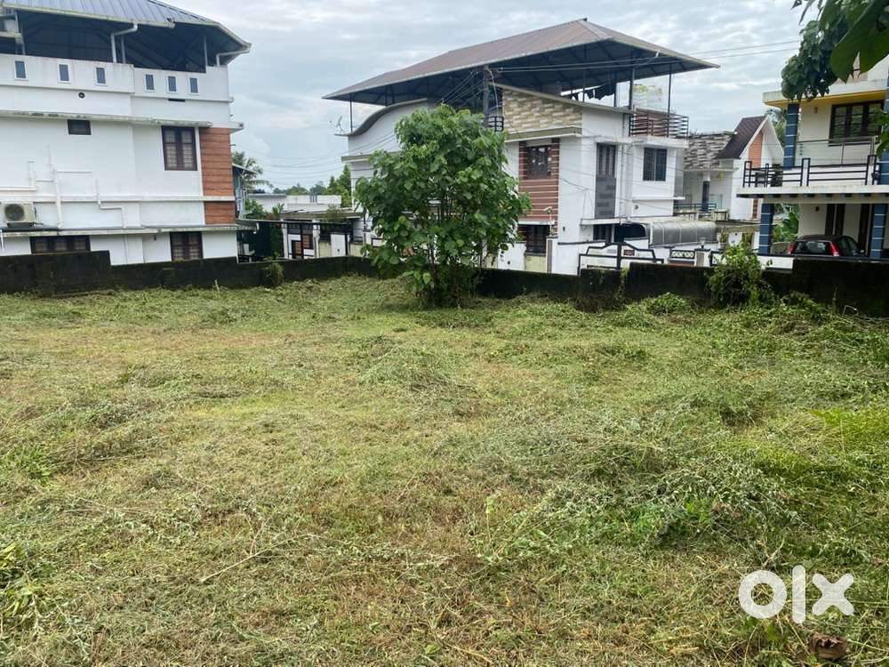 9.680 cents Plot at Pookkattupady facing road for sale