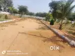 Plot for sale at pragnapur,gated community farm plot