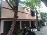 Excellent condition 3bhk House for rent or Office rent