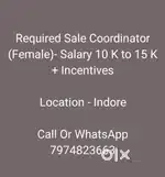 Sales Coordinator (Female)