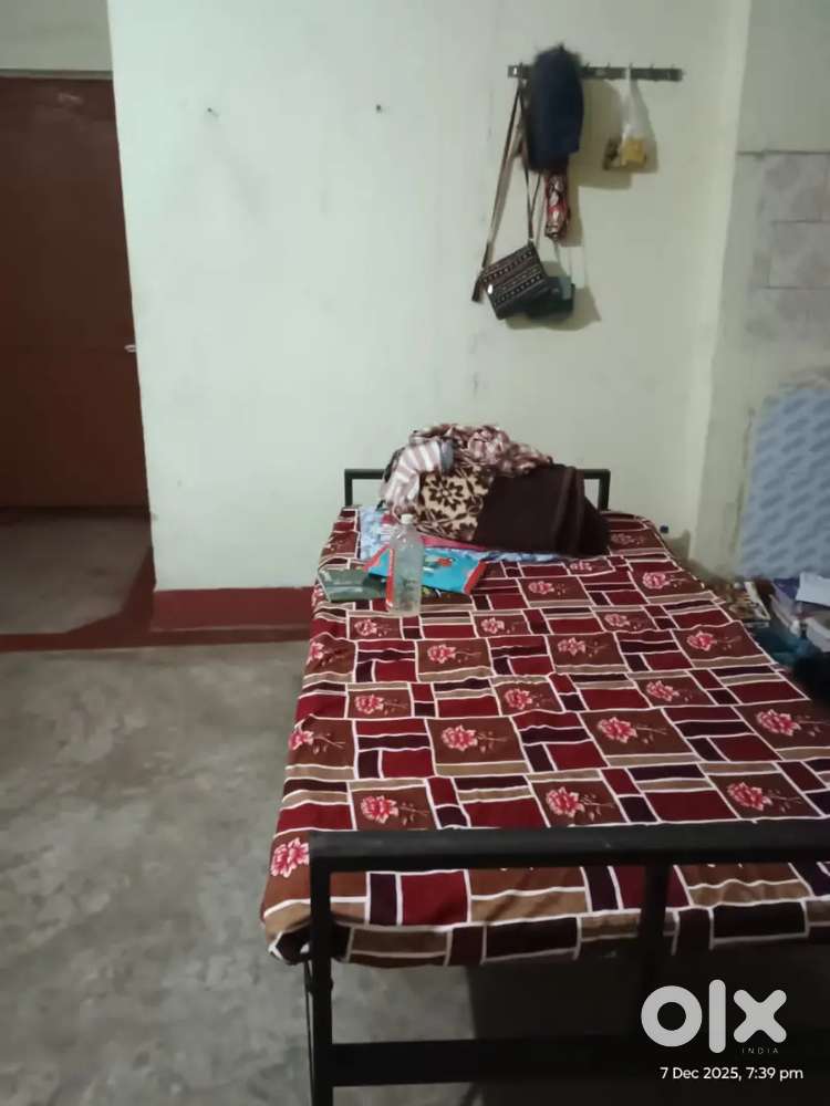 Need two female roommates