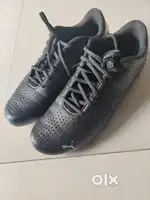 Puma BMW Shoes