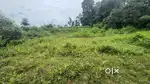 Plot for sale