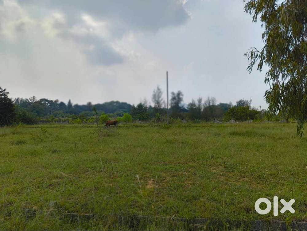 Looking for valid customer