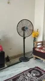 Pedestal fan