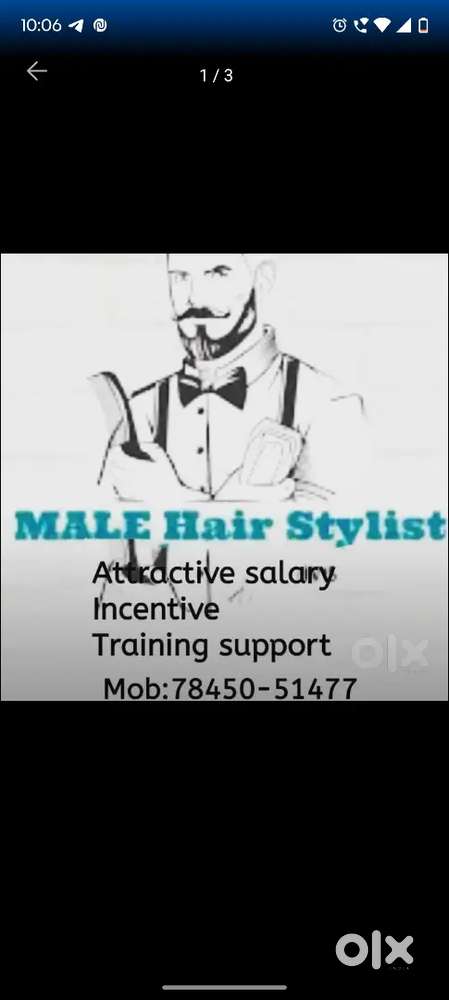 Hair stylesh