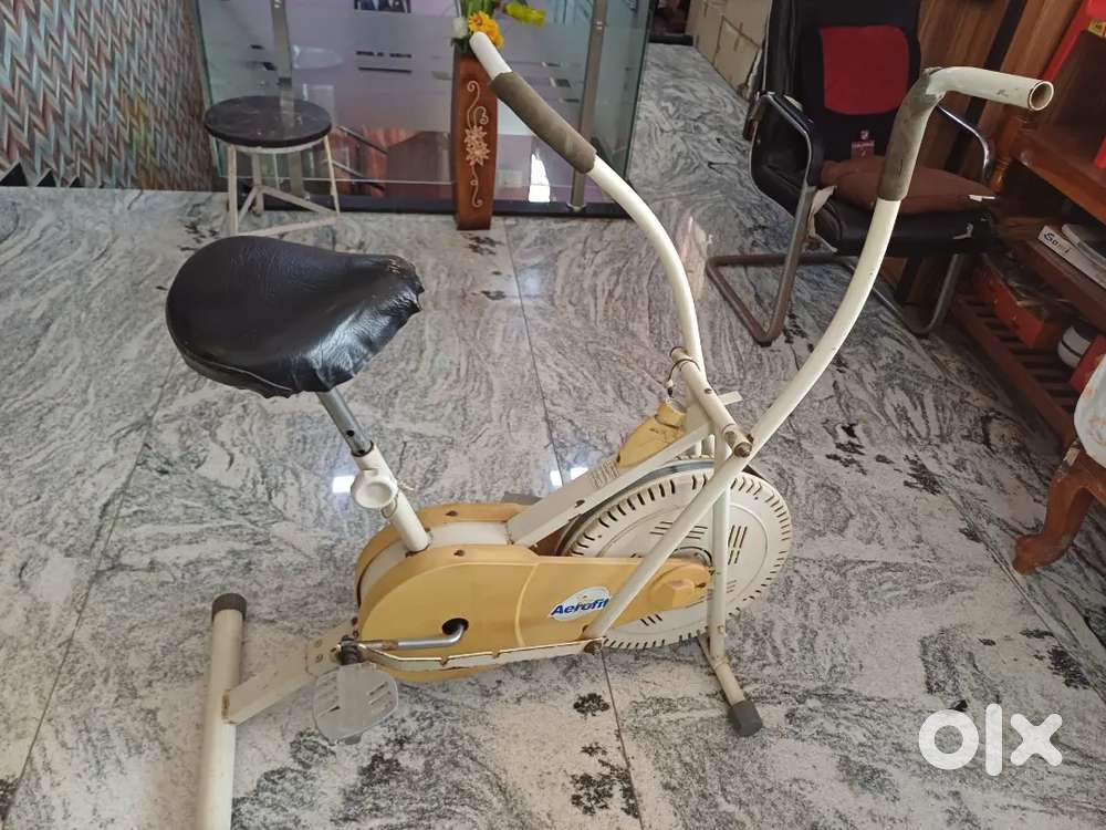 Aerofit Fan Bike