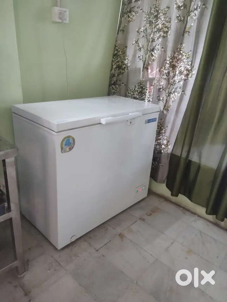 Deepfrezer Blue Star 200 L Single door