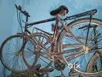 A good health Cycle