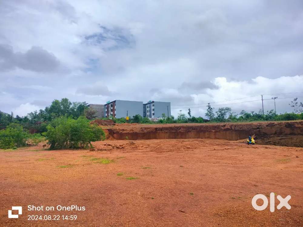 2 acres land in inoli near Konaje university  karnataka