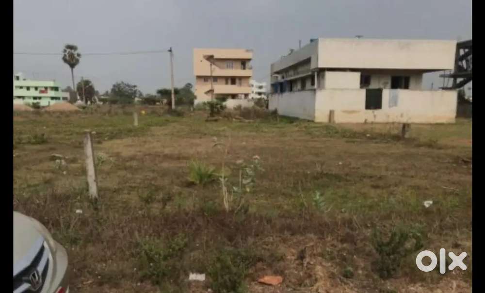 Prime 200 sq yards land for sale in sudha colony peddapuram