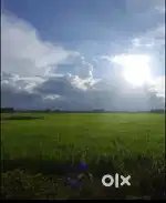 Land for sale near ring road