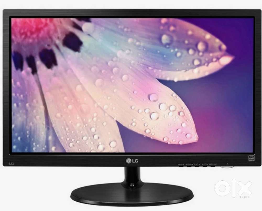 The LG monitor with original adapter